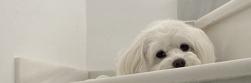 Alba_0194's profile banner image