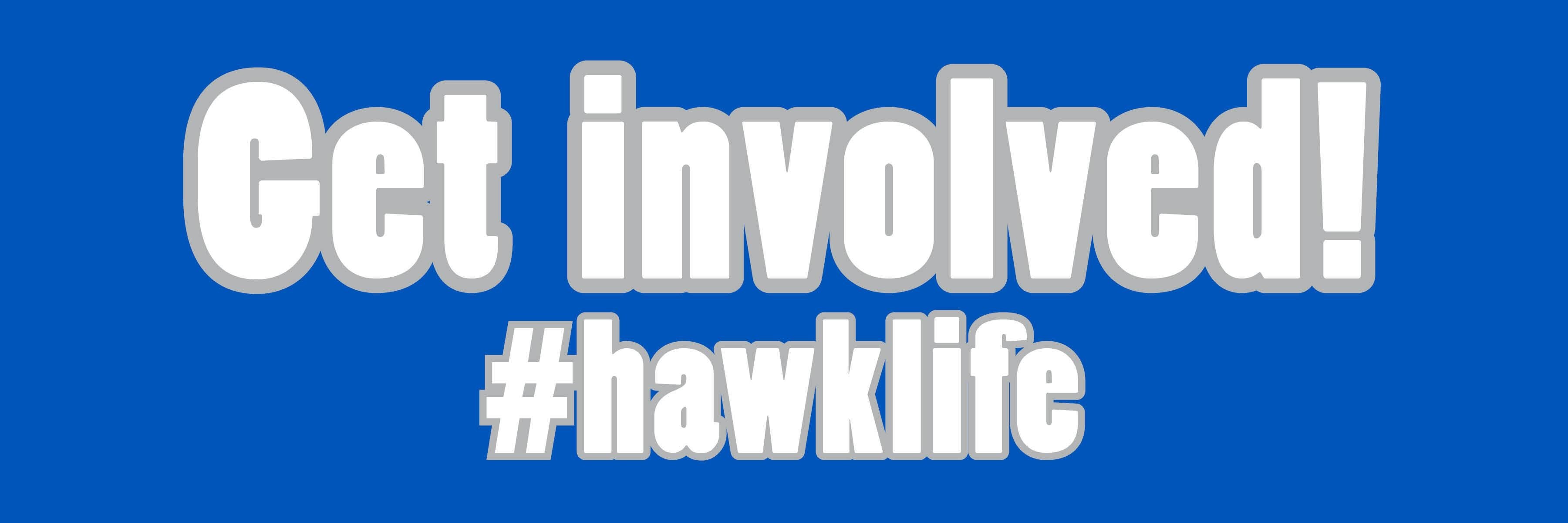 South Georgia State banner