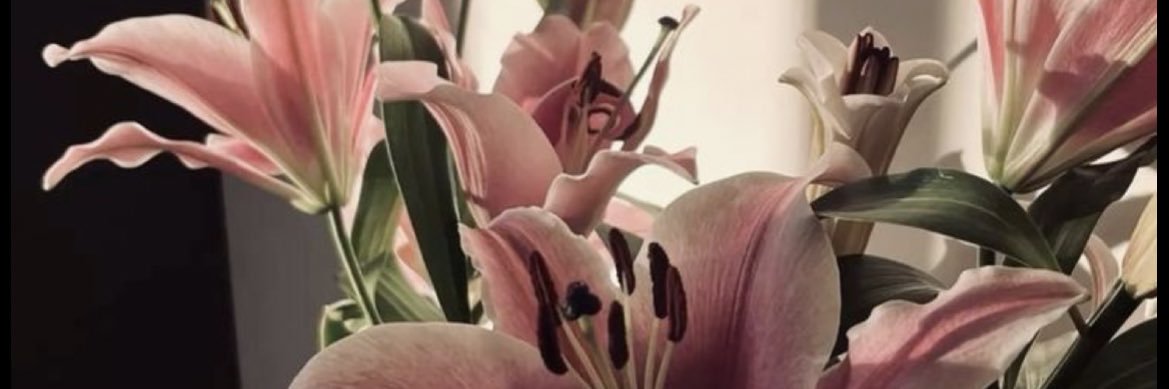 No71ni_'s profile banner image