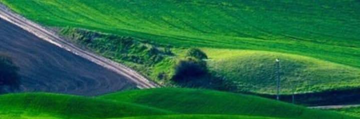 بن عطيه 🌴🌴صافي النيه🌺🌺's banner