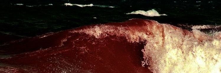 the sun doesn't shine forever banner