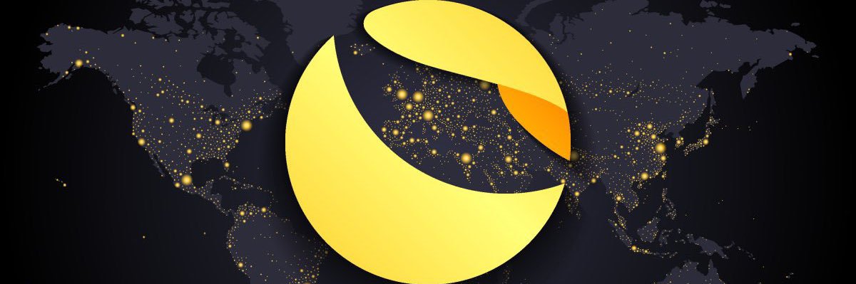 dzodzo banner