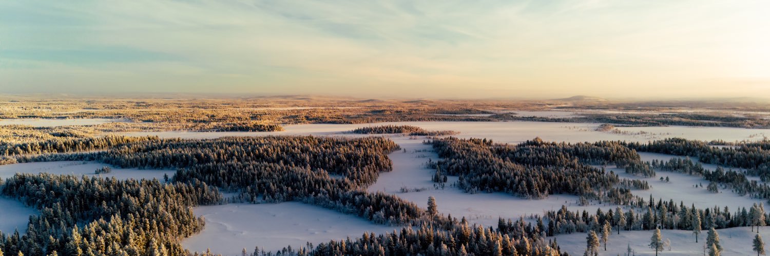 RicciSpeckels's profile banner image