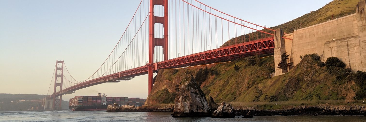 Kitty Montoya banner