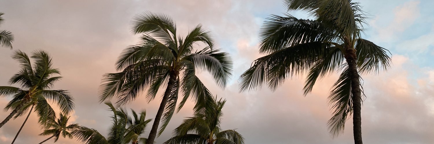 ellieflyer's profile banner image