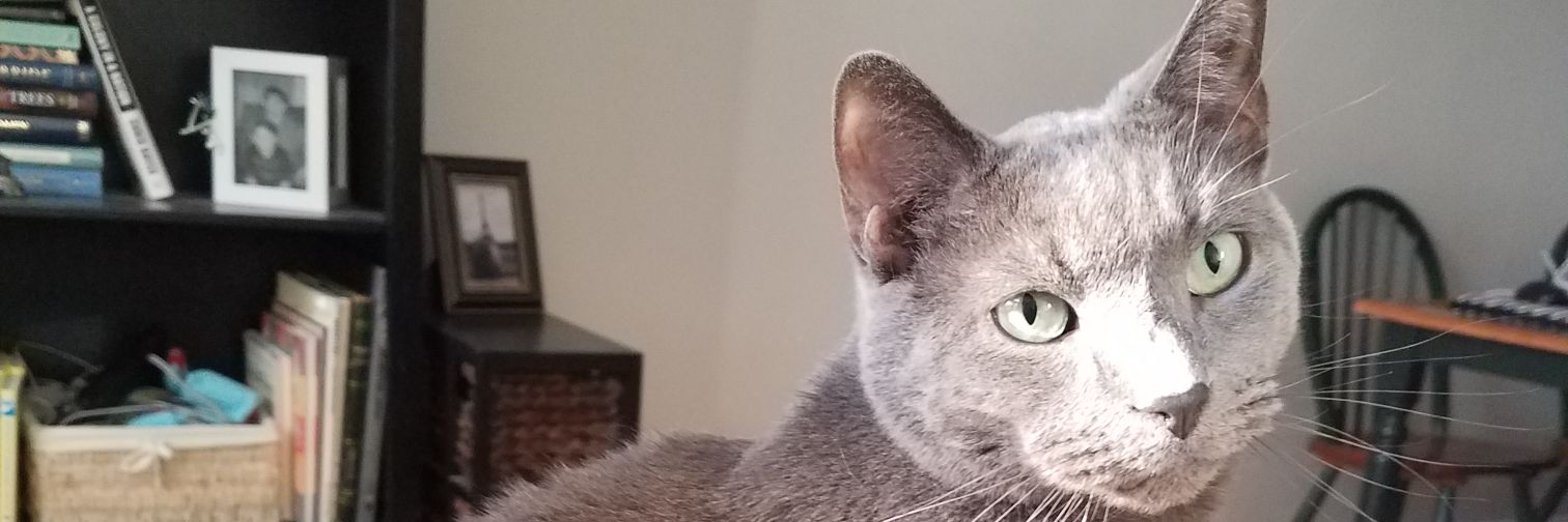 PhakeJake's profile banner image