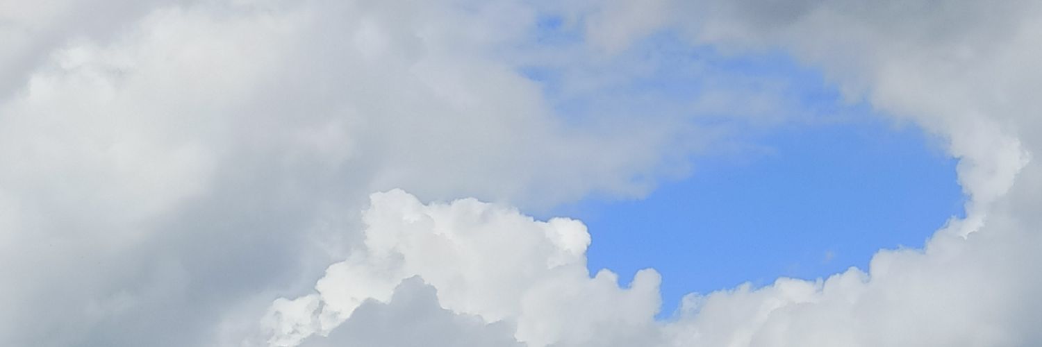 MellyShadow's profile banner image