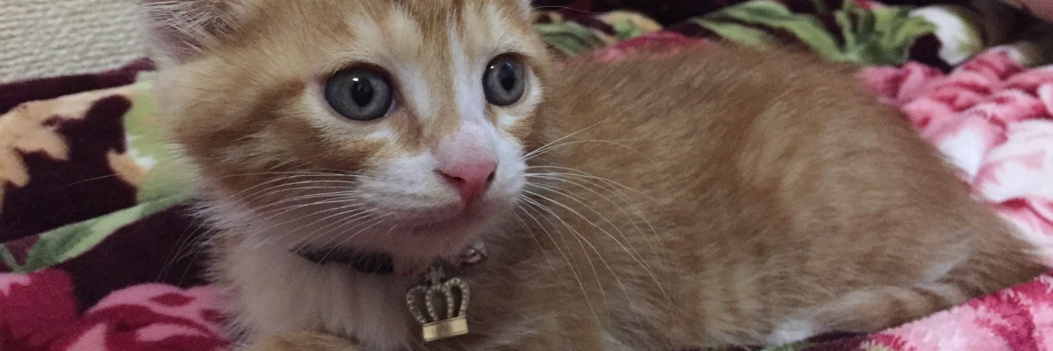 極薬ぽん☺ banner