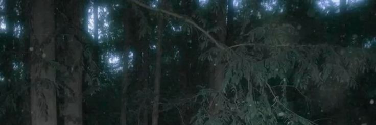maal_ena's profile banner image
