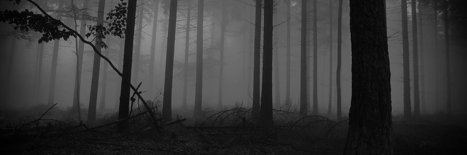 ArvydasOnce's profile banner image