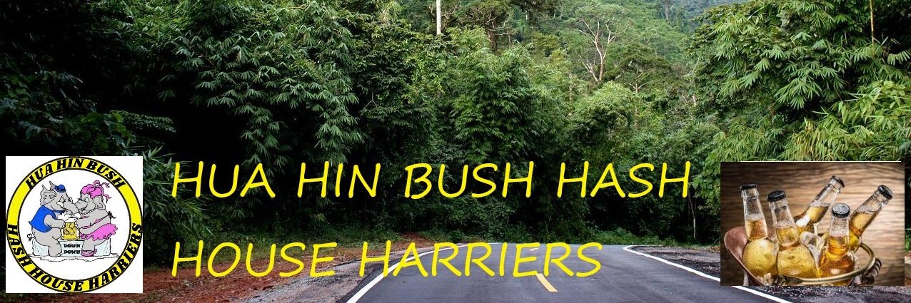 HashHua's profile banner image