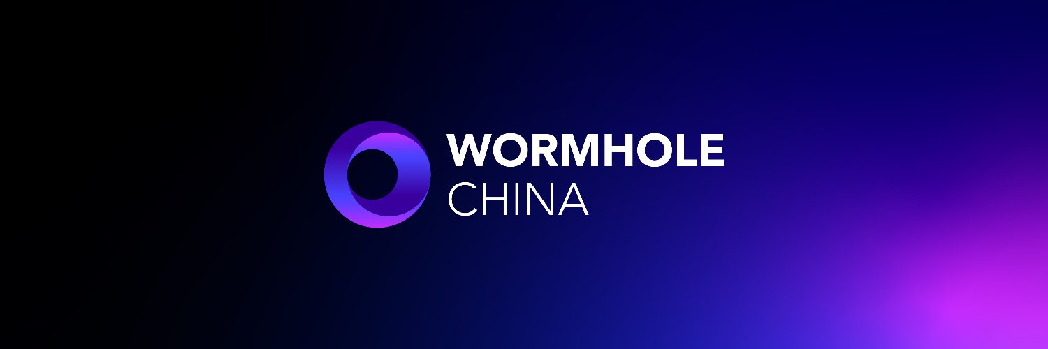 Wormhole 虫洞中文🌪 Profile Banner