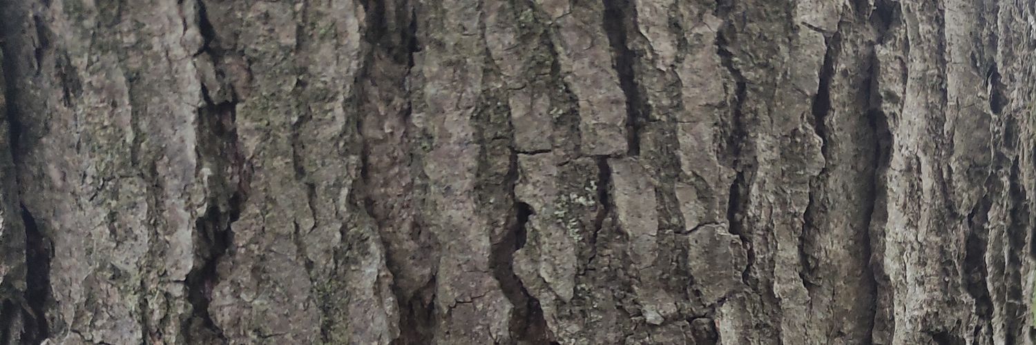 omix banner