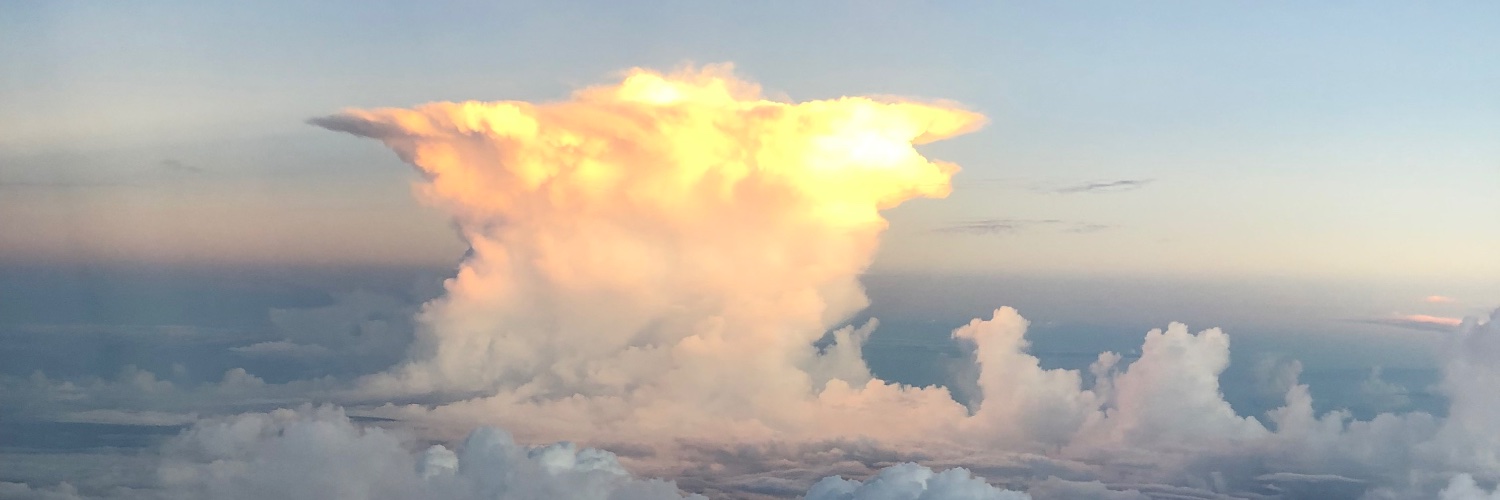 Nobuhiro Mifune banner