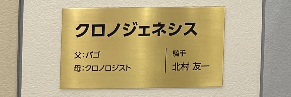 yume 🦢 banner
