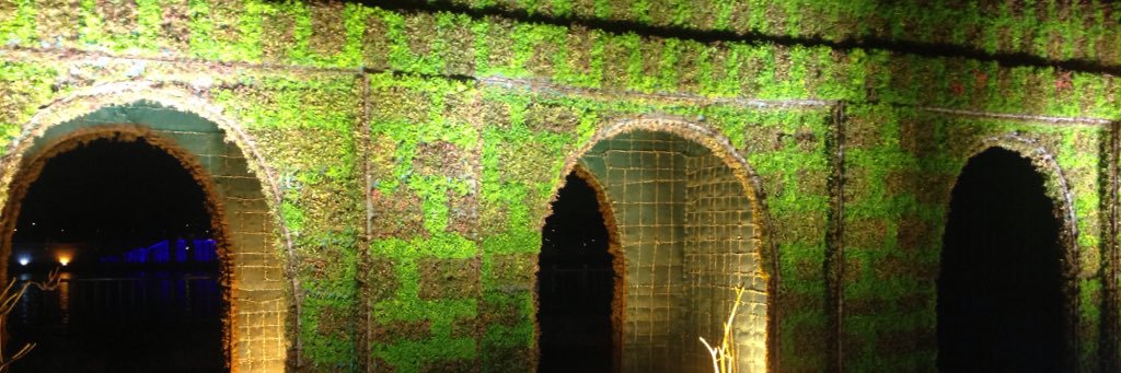 mohimran18's profile banner image