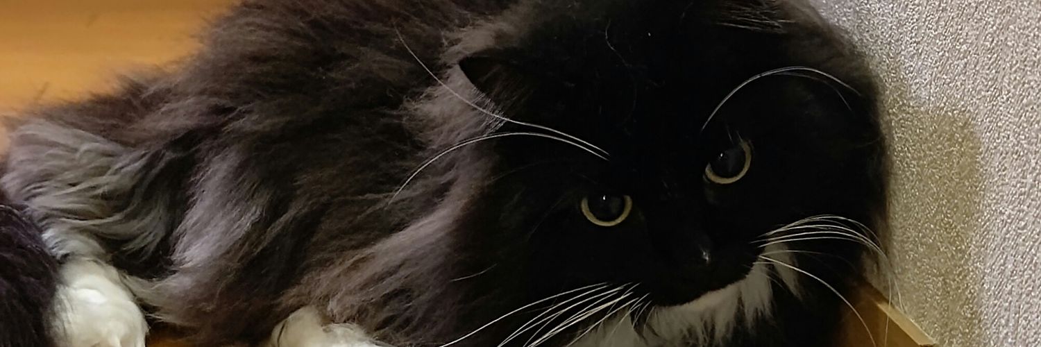 nomRock's profile banner image