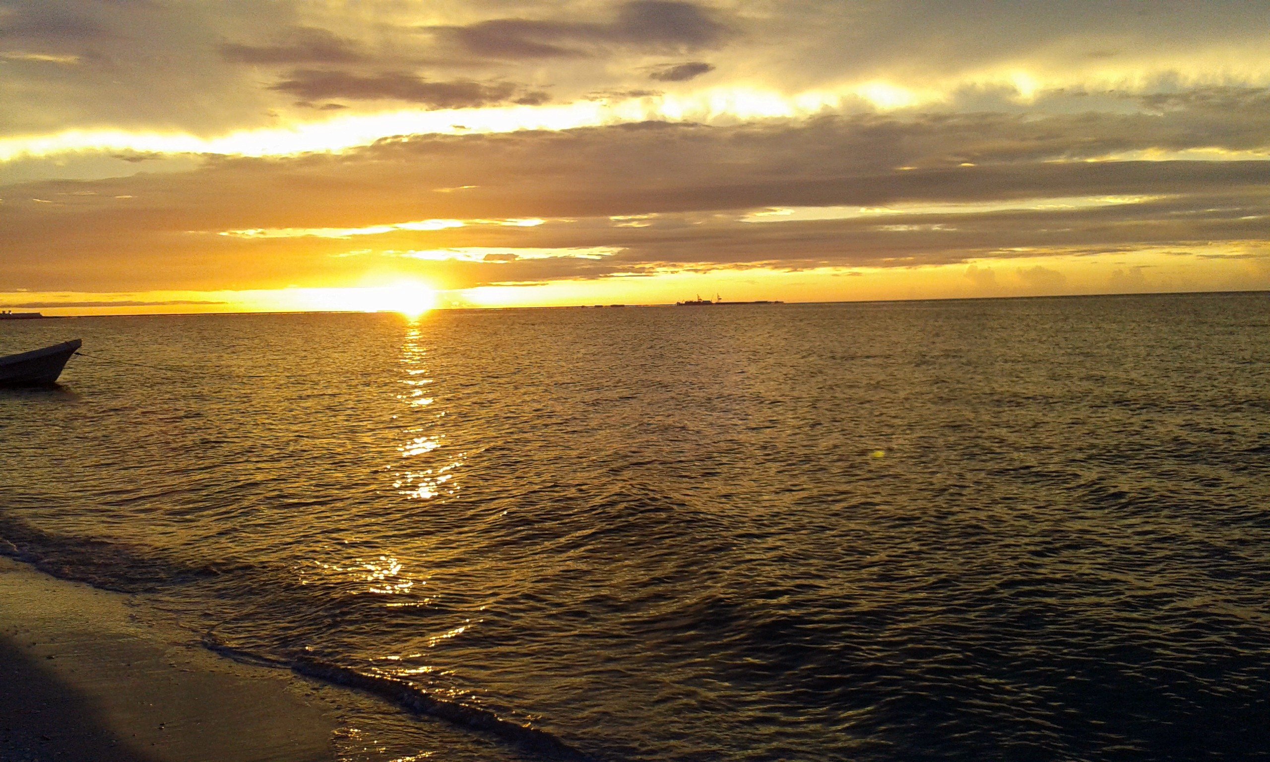 peter21071001's profile banner image