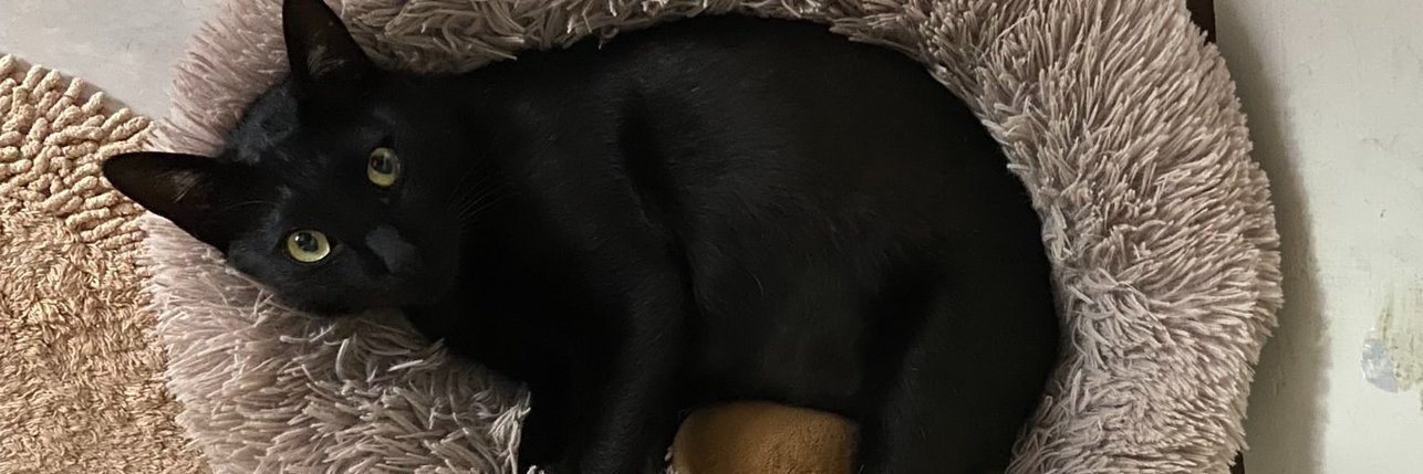 BM_llsk's profile banner image