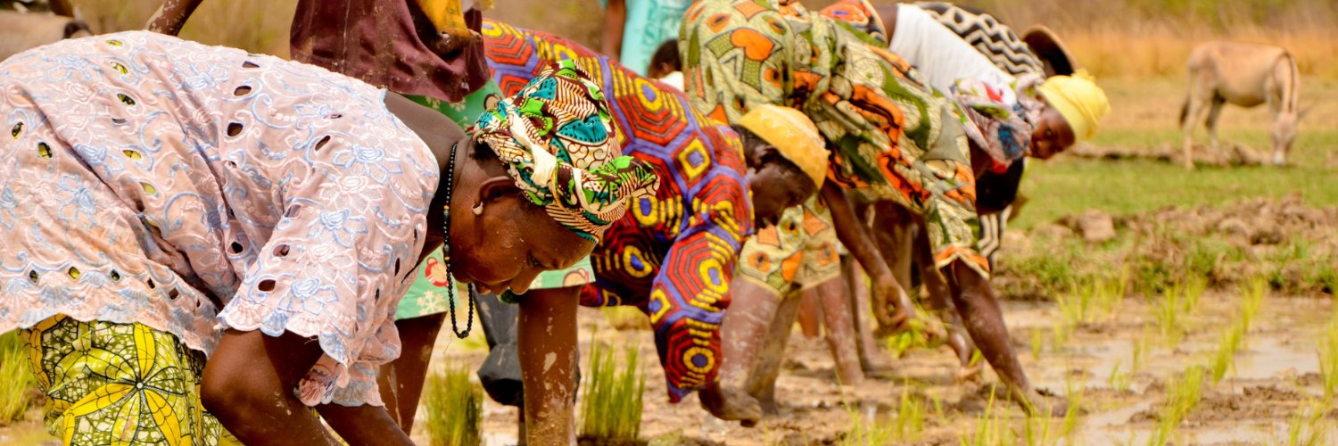 Wrifom Tanzania banner