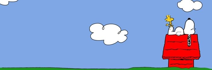 ෆ— kikiii banner