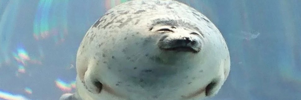 Yちゃん@無敵のVenus@週7セク子 banner