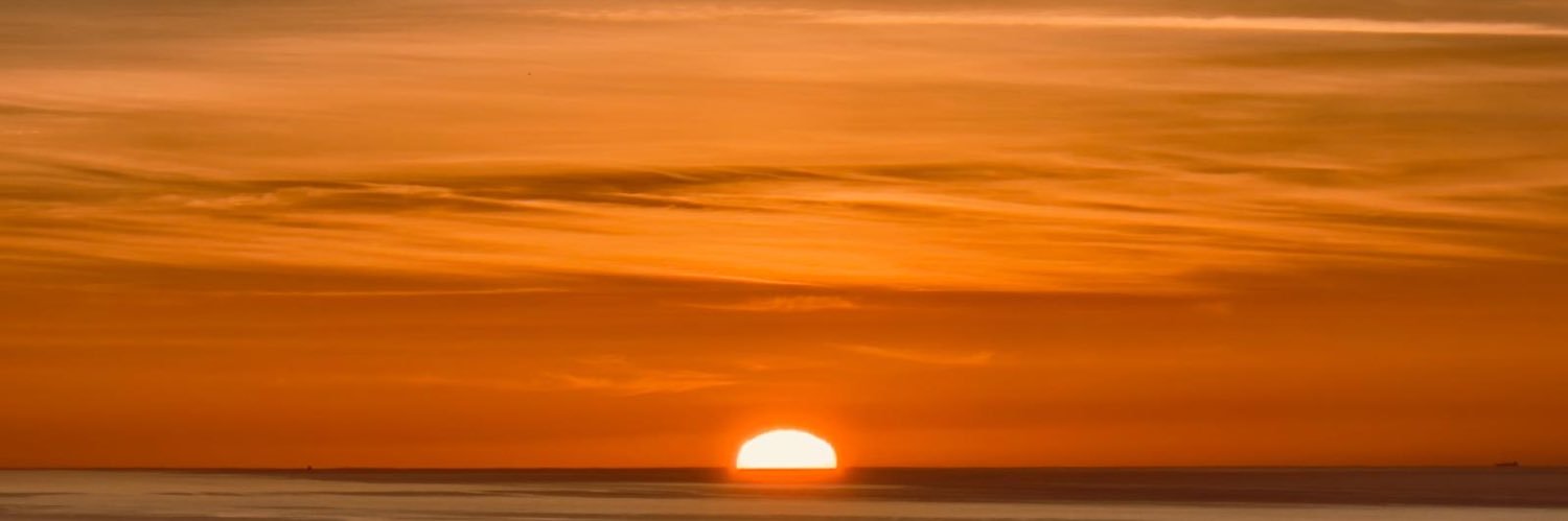 Mario Randholm banner