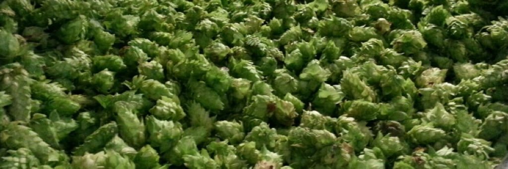 Crossroads Brewing banner