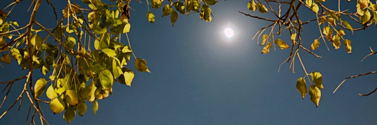 库存袈裟 banner