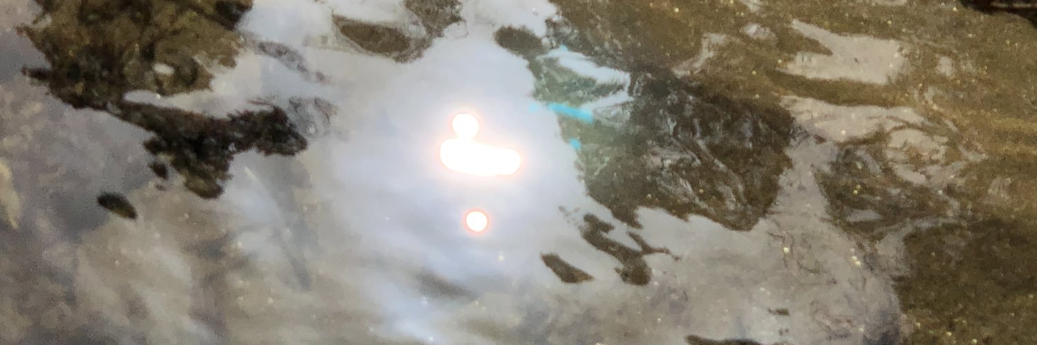 acidnob's profile banner image