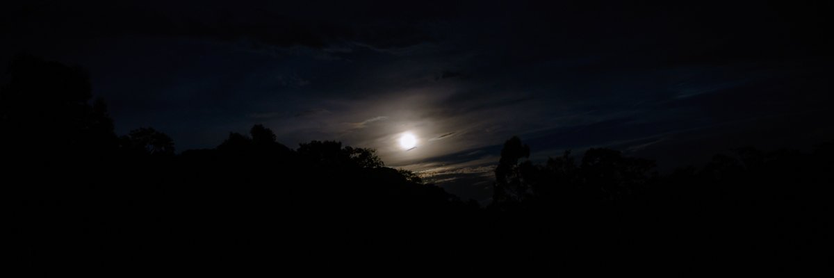 Jacarenabolsa's profile banner image