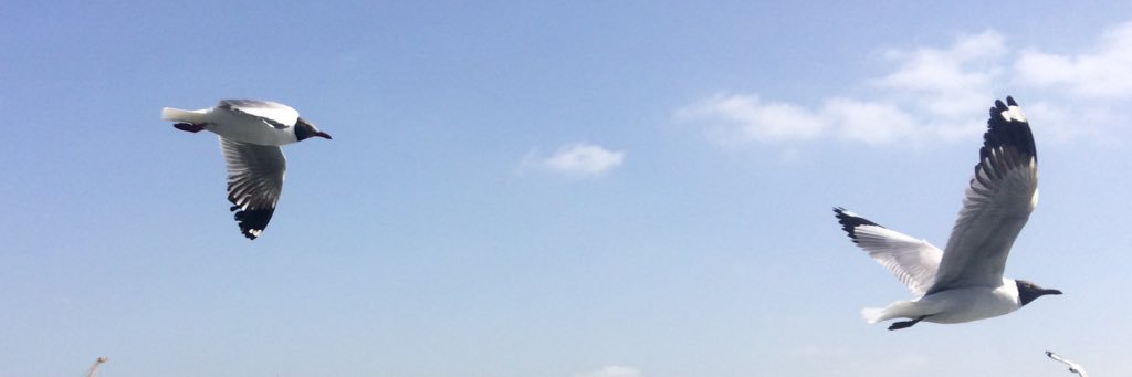 Rahul_Baj's profile banner image