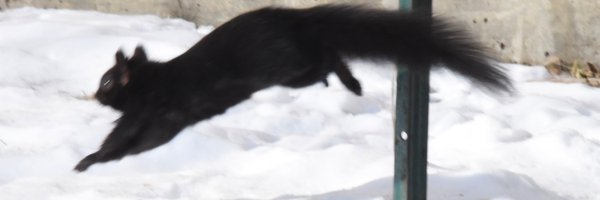 TwinkleEm_ Profile Banner