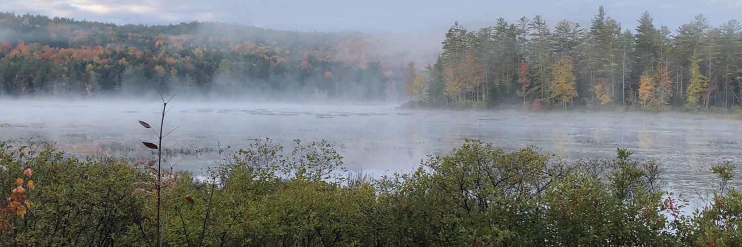 Annette Romano banner