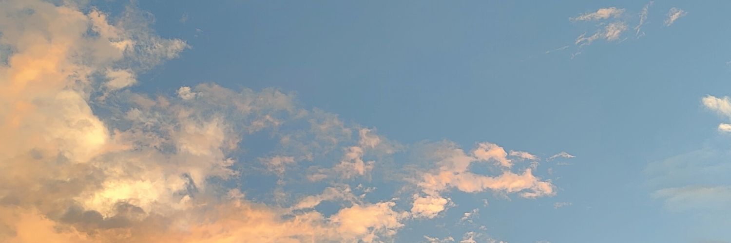 Czari / Jin banner