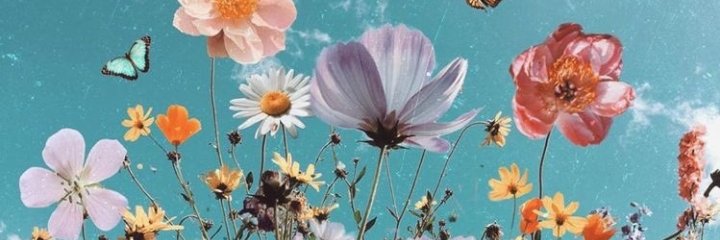camiimanetti's profile banner image