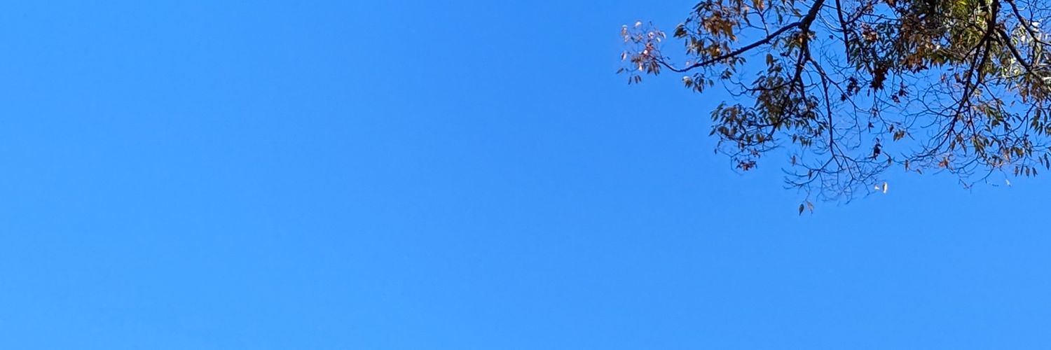 ka16120604's profile banner image