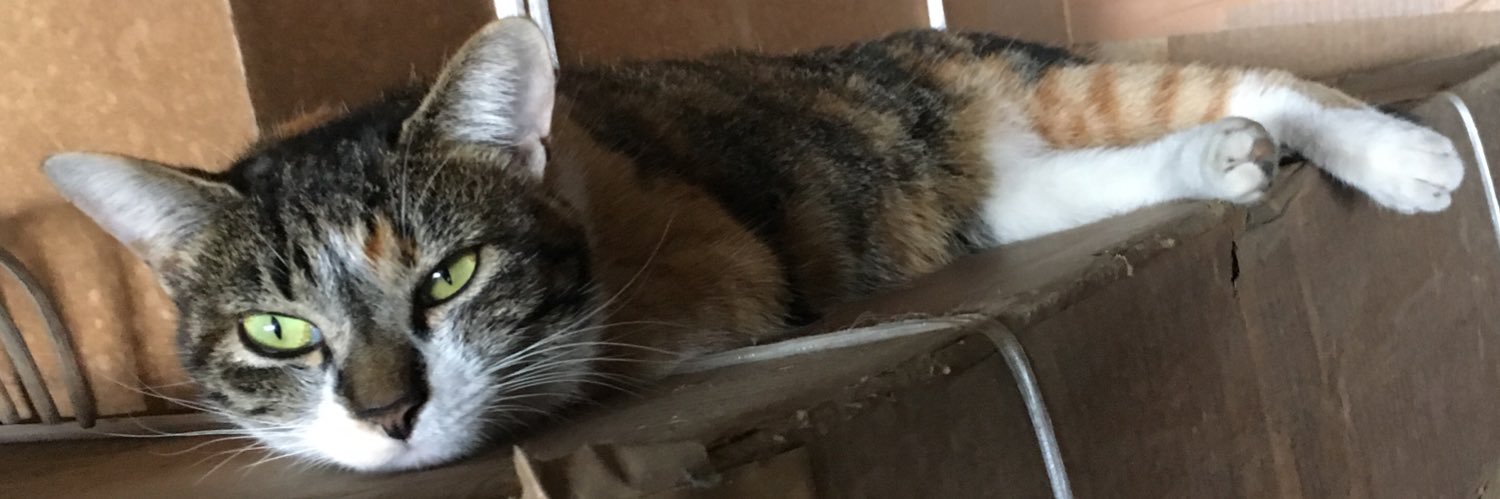KlezaSpaghetti's profile banner image