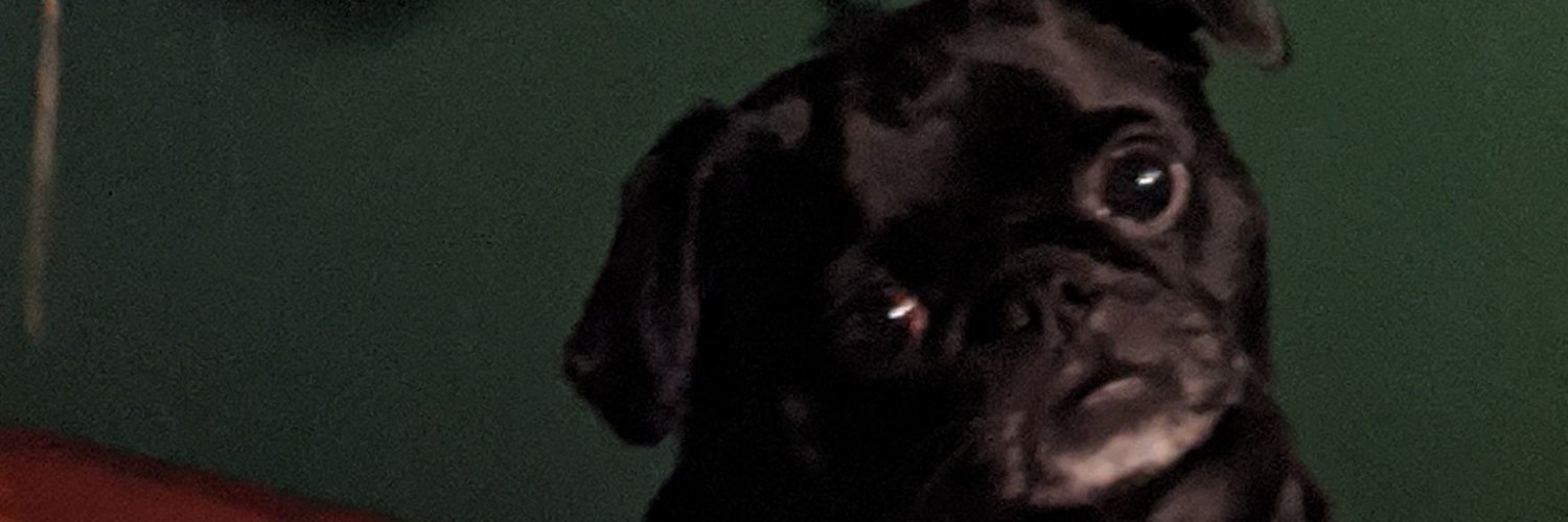 Tarbe banner