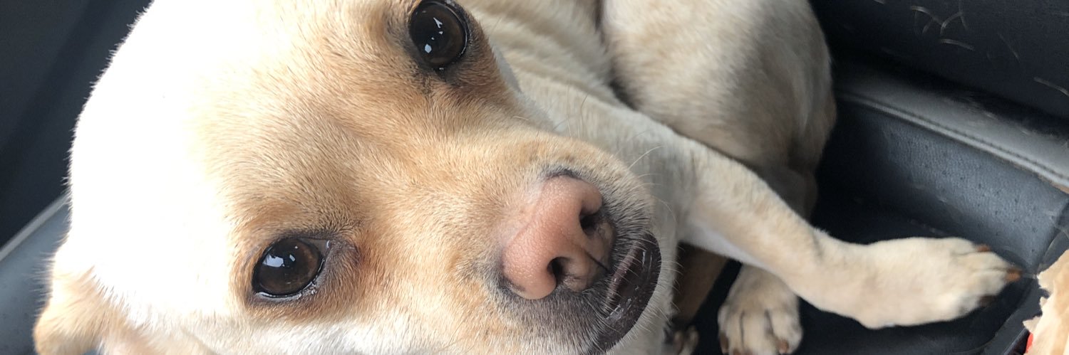 Ashhleee19's profile banner image