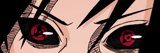 🕷️ banner