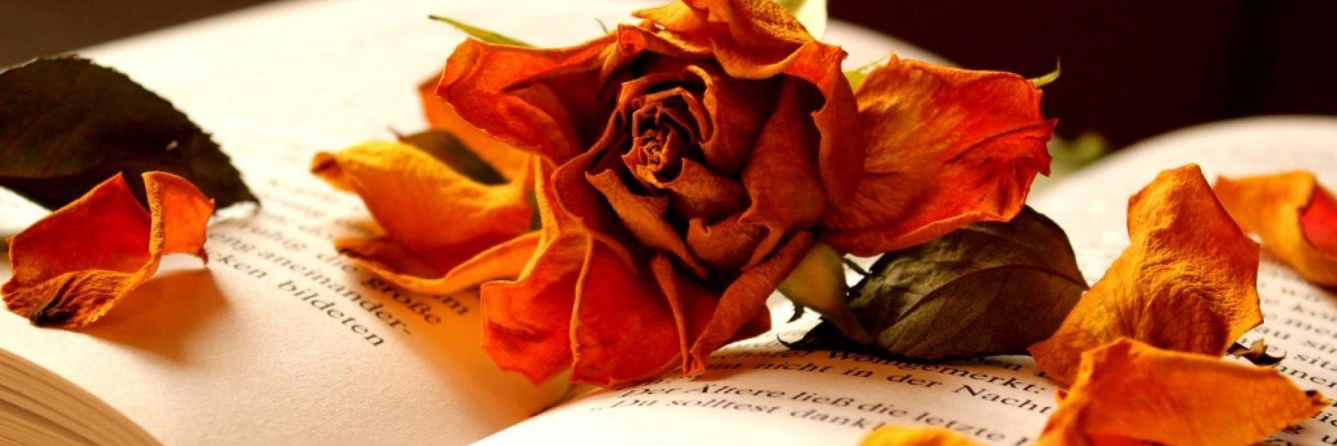 Thomas Corfield banner