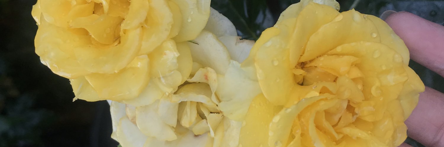 helloimlika's profile banner image