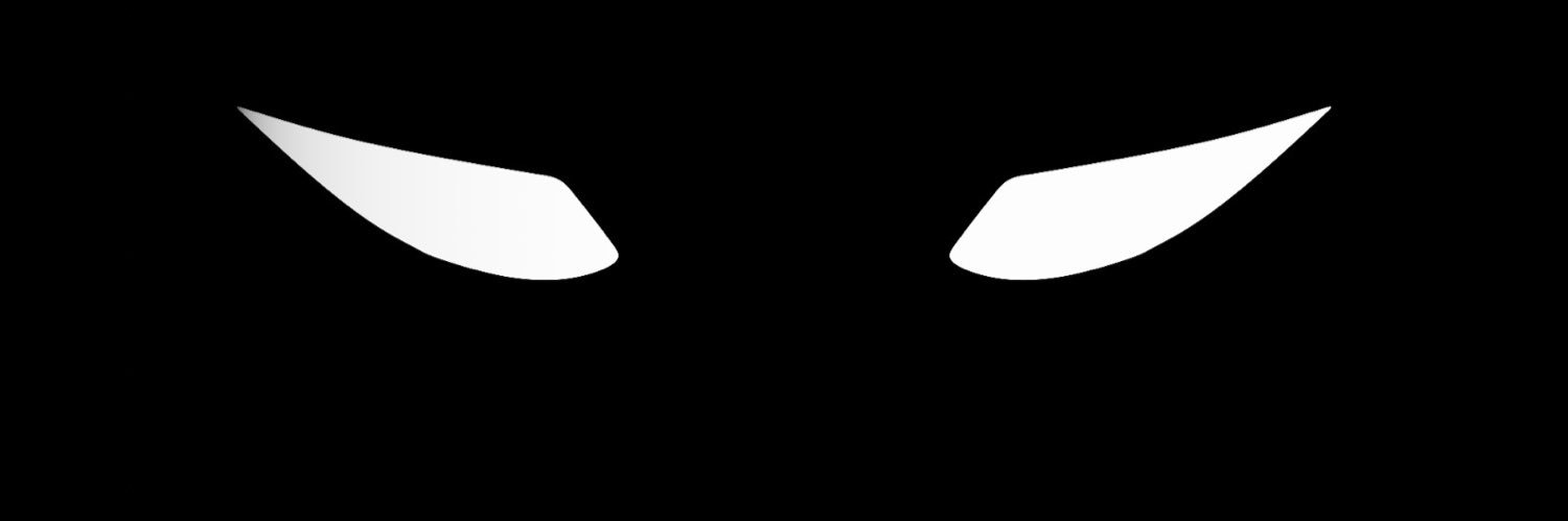 viksjva's profile banner image