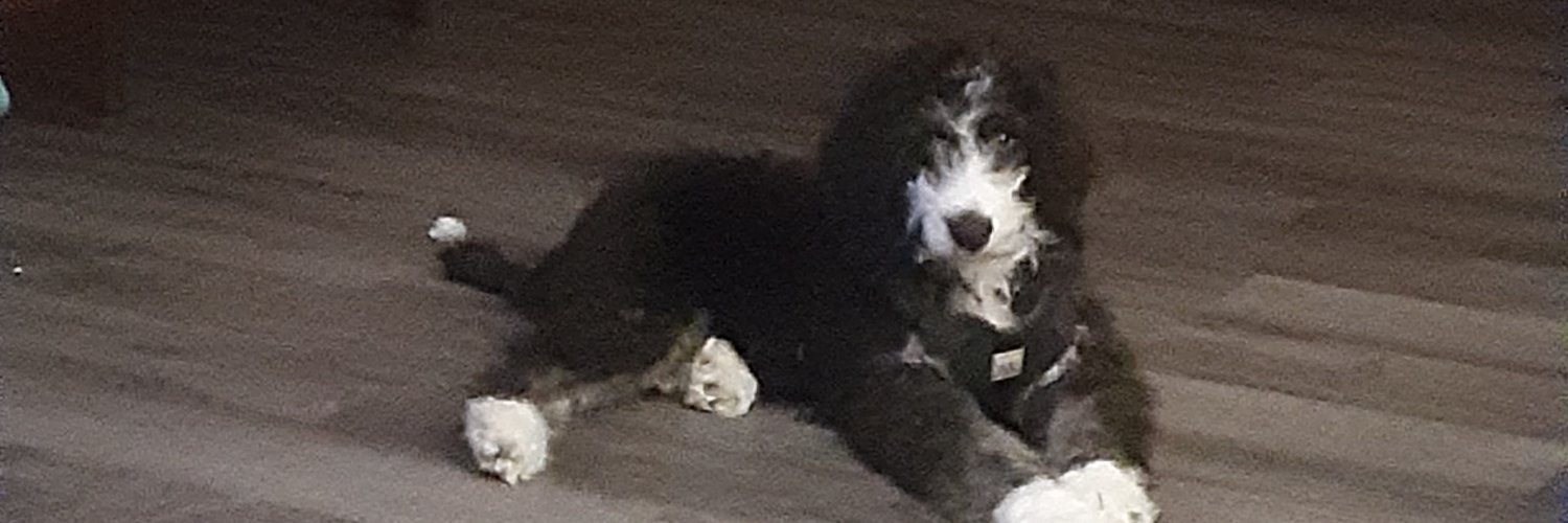 Daisys mom banner