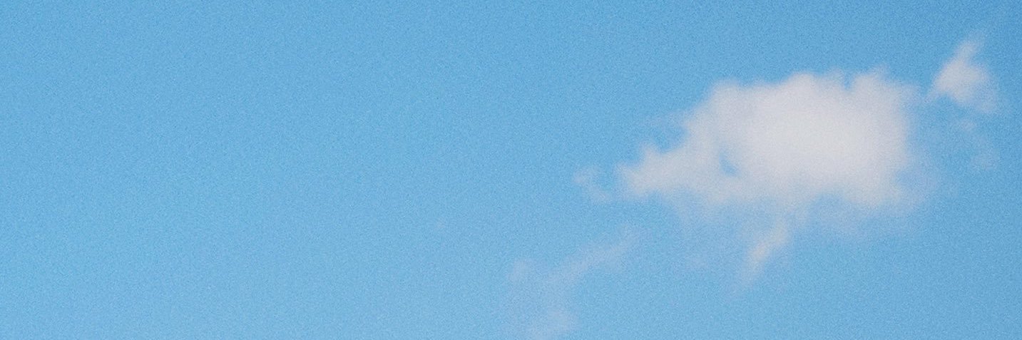 폼입니다♡ ˚ ༘ banner
