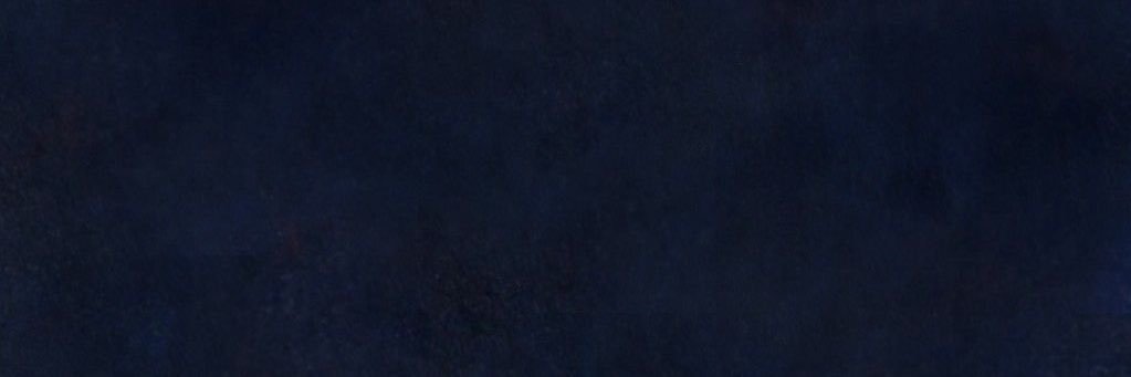 faina's banner
