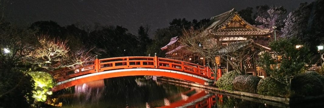 ayane_ruma's profile banner image