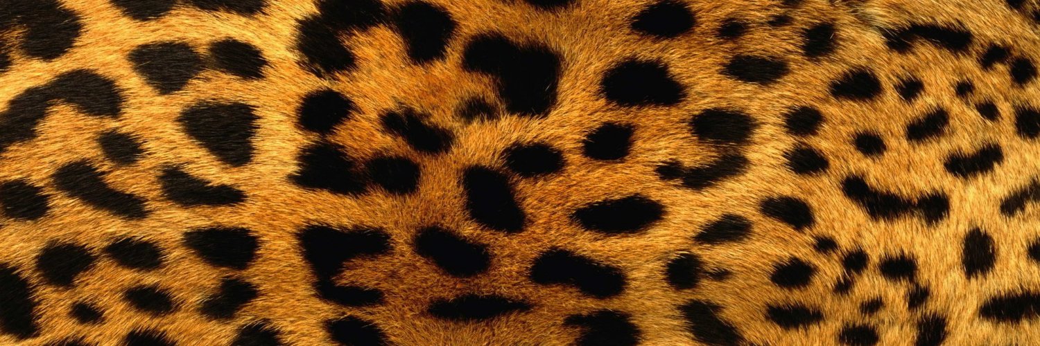 Cheetah Senorita (@SenoritaCheetah) / Posts / X