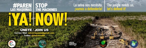 SelvaMayaSOS Profile Banner